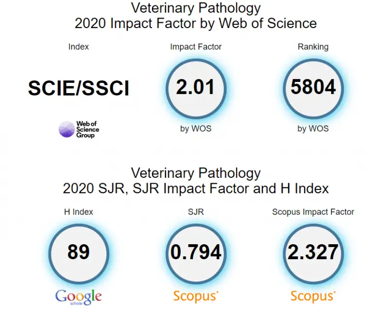 Top veterinary journals what and how to get published in 2024