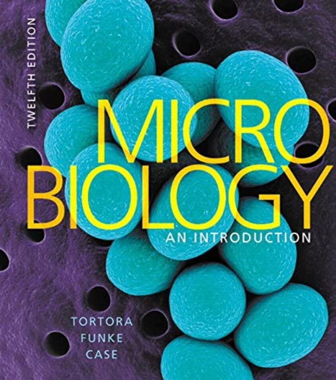 15 MustRead Immunology and Microbiology Books 2024