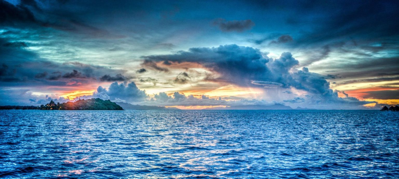 10 Highest Paying Marine Biology Jobs 2024