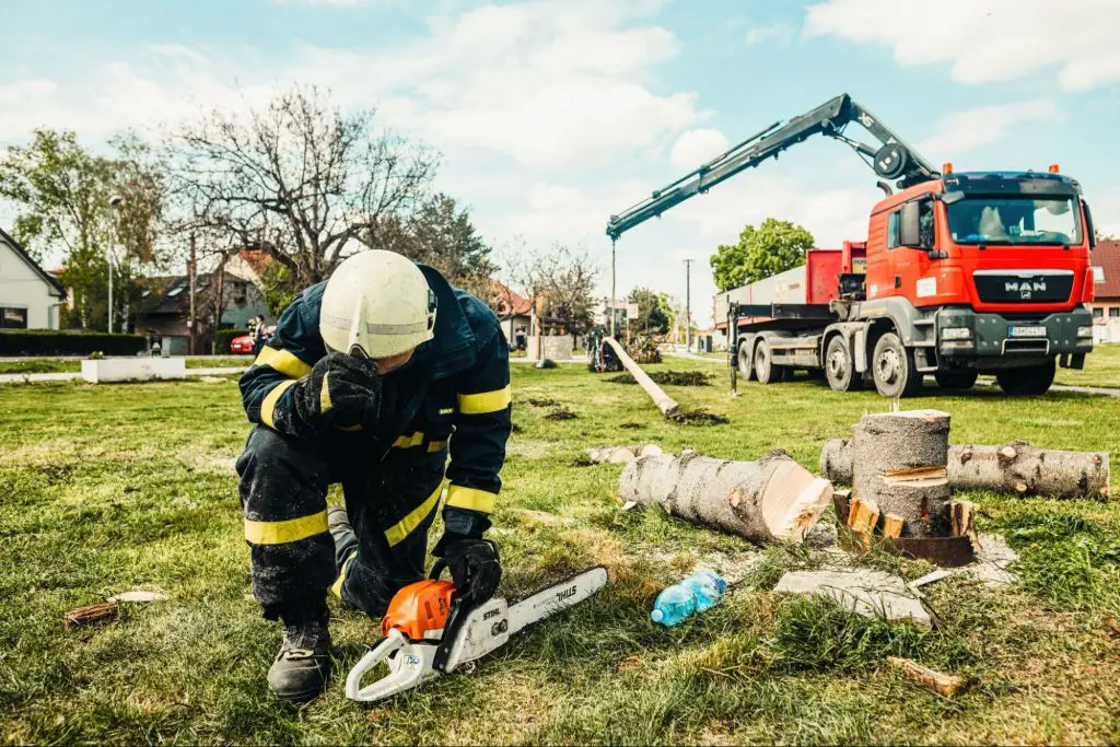 Highest Paying Environmental Jobs : Credits: Pexels