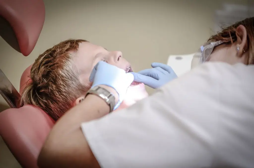 Highest Paying Dentist Jobs : Credits: Pexels