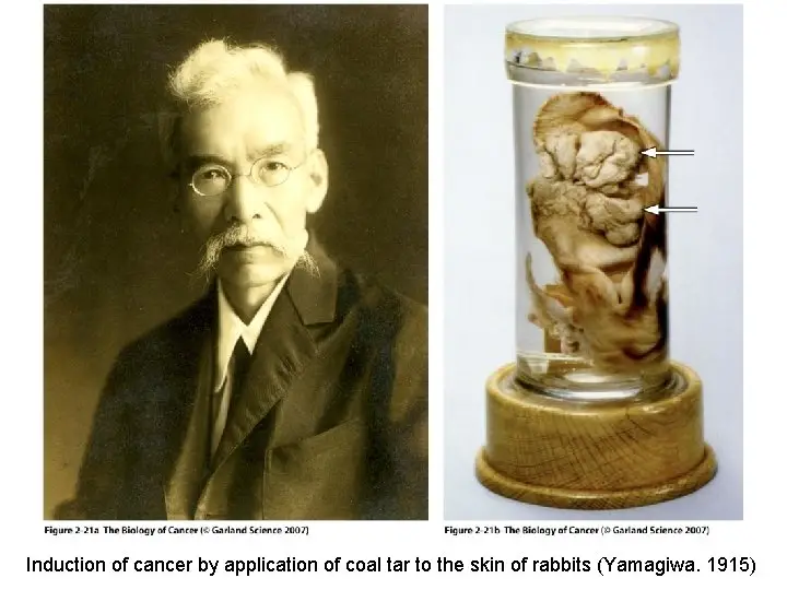 Famous Asian Scientists : Credits: Wikipedia