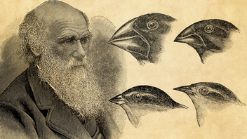 Top 19 Famous Animal Scientists That You Should Know 2023