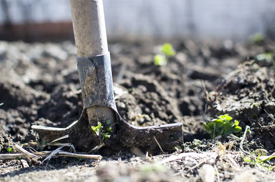 Highest Paying Soil Science Jobs : Credits: Pexels