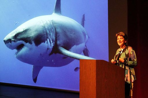 Famous Shark Scientists : Credits: Santa Catalina School