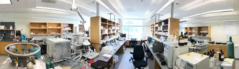 Best chem e schools transform innovation and career prospects