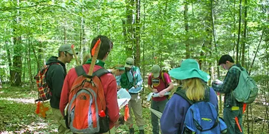Best Forestry Schools : Credits: University of Vermont