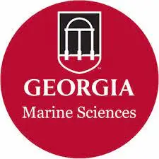 Best Schools For Marine Biology 