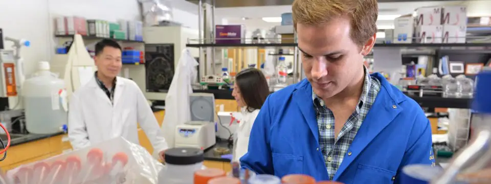 Best Immunology Schools : Credits: UCLA Graduate Programs