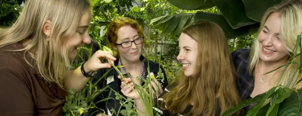 Best Forestry Schools : Credits: UC Davis