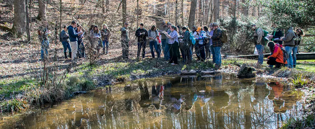 Best Forestry Schools : Credits: School of Natural Resources, the University of Tennessee