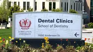 Best Dental Schools 