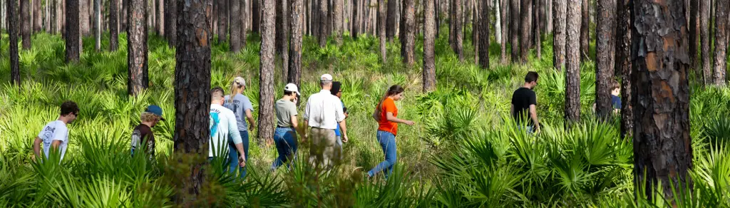 Best Forestry Schools : Credits: UF 