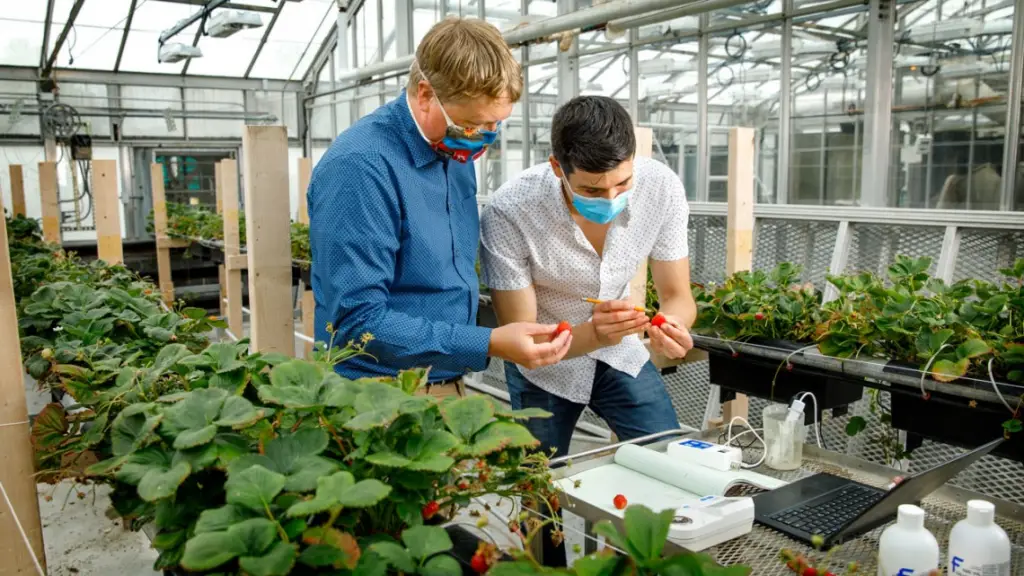 Best Schools For Agricultural Sciences : Credits: Cornell Chronicle