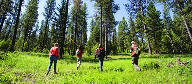 Best Forestry Schools : Credits: University of Montana