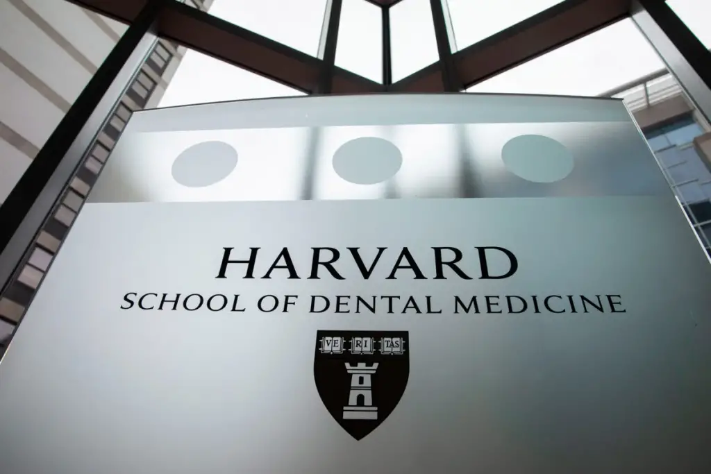 Best Dental Schools 