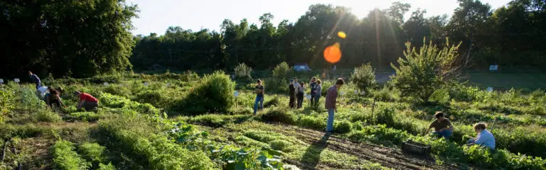 Best Schools For Agricultural Sciences : Credits: UW-Madison