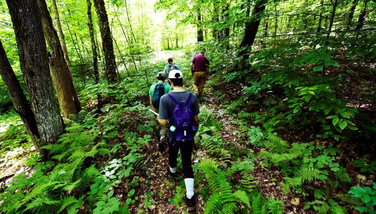 Best Schools For Environmental Science : Credits: Cornell CALS