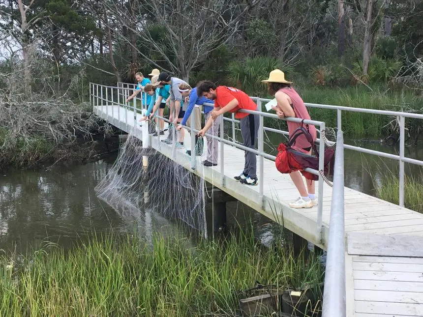 Best Schools For Marine Biology : Credits: UGA Marine Science