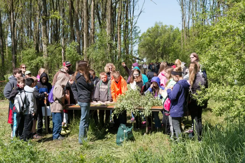 Best Forestry Schools : Credits: Forest and Wildlife Ecology, UW-Madison
