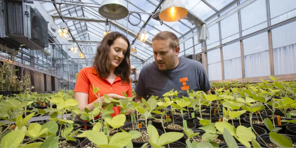 Best Schools For Agricultural Sciences : Credits: UIUC