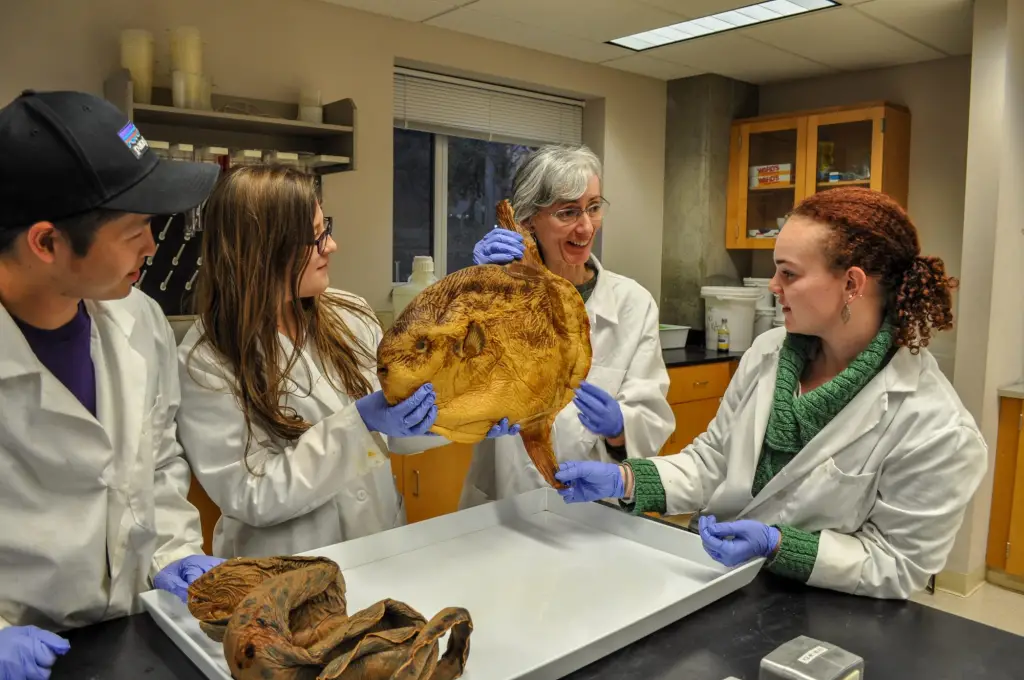 Best Schools For Marine Biology : Credits: University of Washington