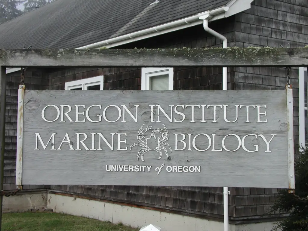 Best Schools For Marine Biology 