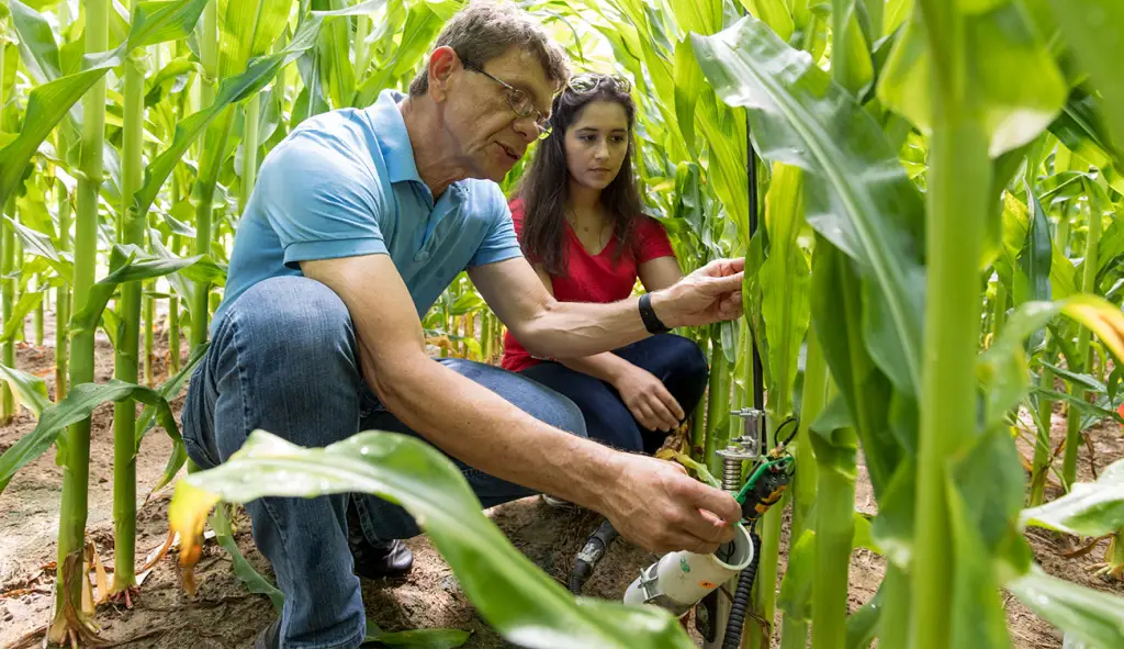 Best Schools For Agricultural Sciences : Credits: UGA Research