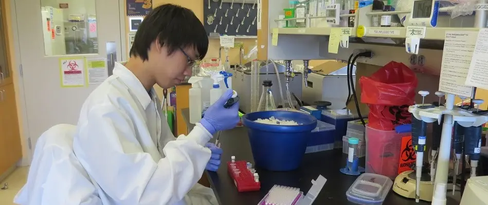 Best Microbiology Schools : Credits: UCLA