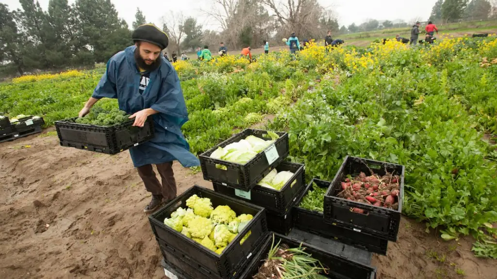 Best Schools For Agricultural Sciences : Credits: UC Davis