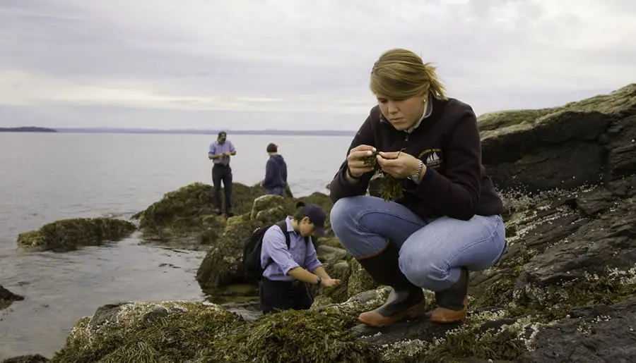 Best Schools For Marine Biology : Credits: Maine Maritime Academy