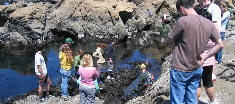 Best Schools For Marine Biology : Credits: University of Oregon