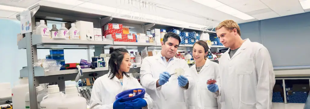 Best Microbiology Schools : Credits: NYU Langone Health