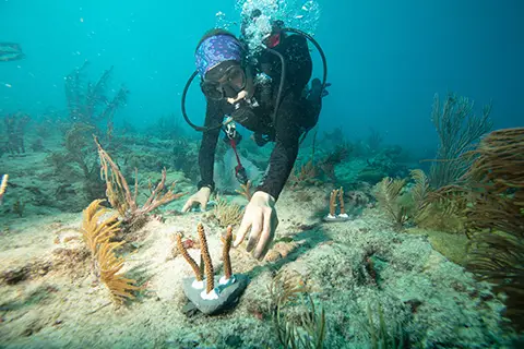 Best Schools For Marine Biology : Credits: University of Miami