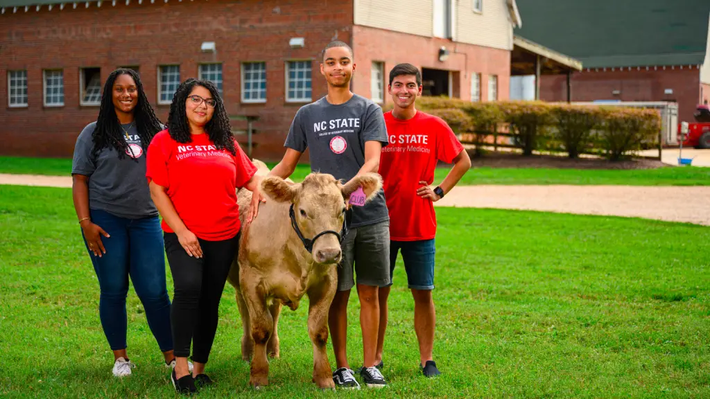 Best Veterinary Schools : Credits: NC State College of Veterinary Medicine