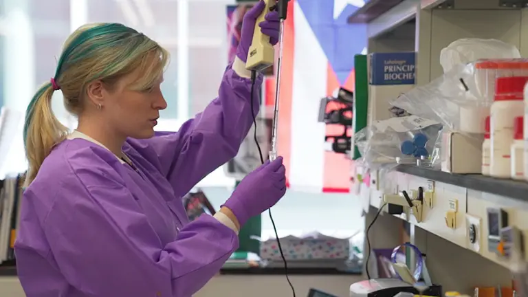 25 Best Schools For Neuroscience In The US 2025