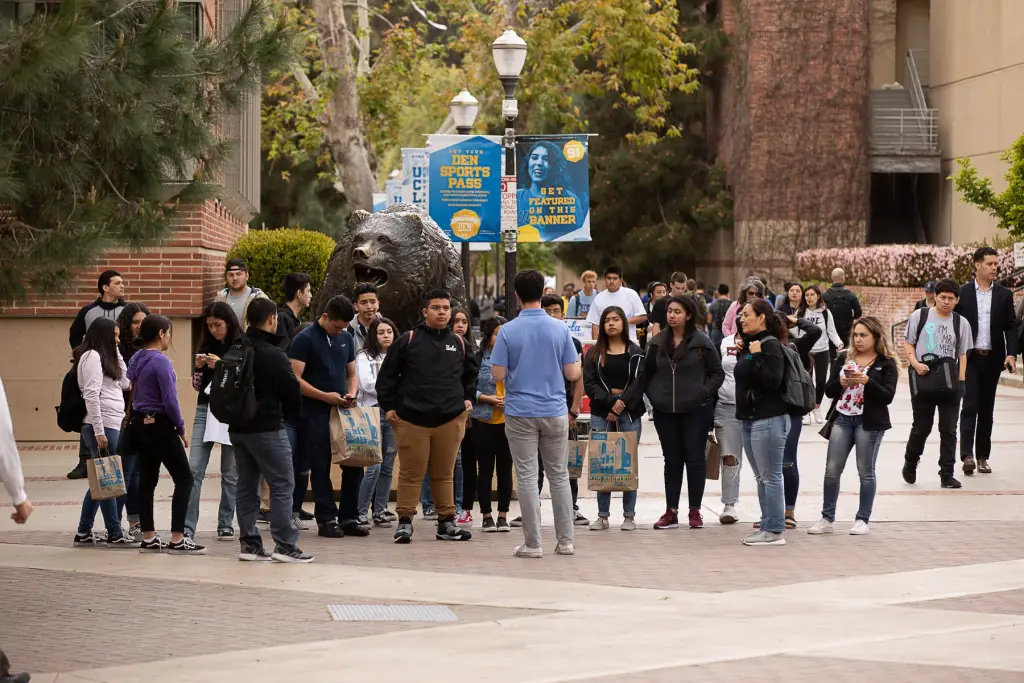 Best Schools For Neuroscience : Credits: UCLA Neuroscience