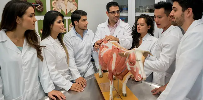 Best Veterinary Schools : Credits: CSU