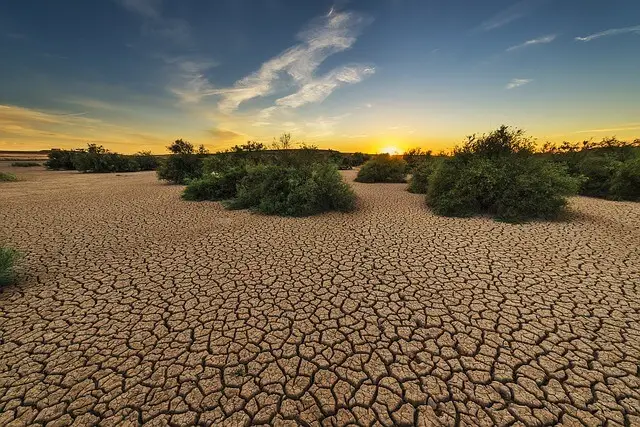 Best Schools For Soil Sciences : Credits: Masters Avenue