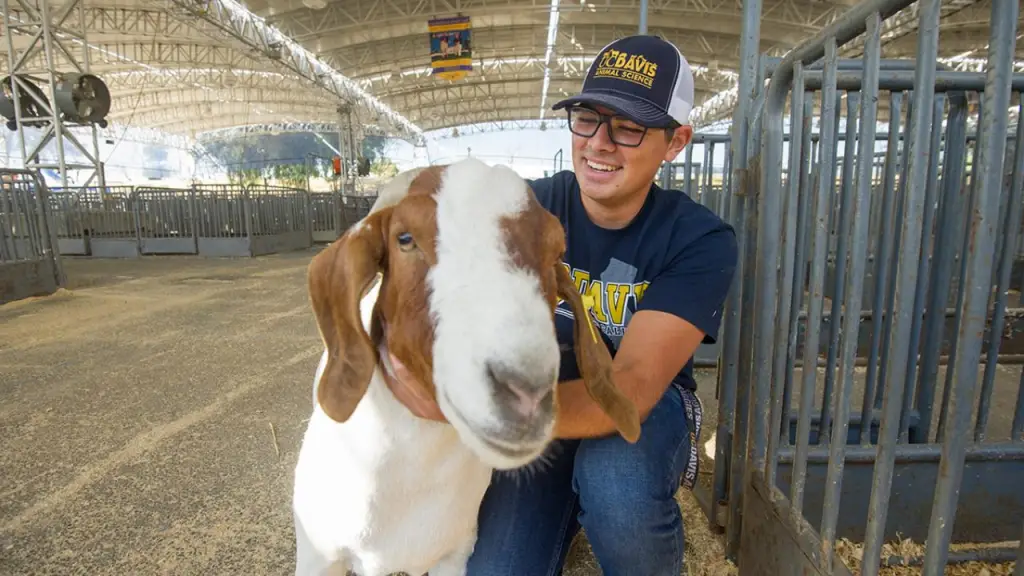 Best Zoology Schools : Credits: UC Davis