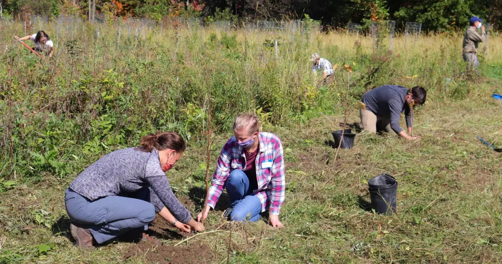 Best Schools For Soil Sciences : Credits: UMass Amherst