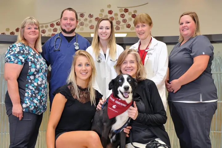 Best Veterinary Schools : Credits: Washington State University