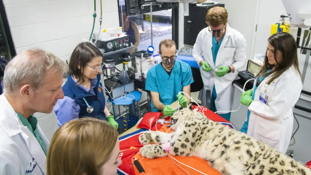 Best Veterinary Schools : Credits: UC Davis