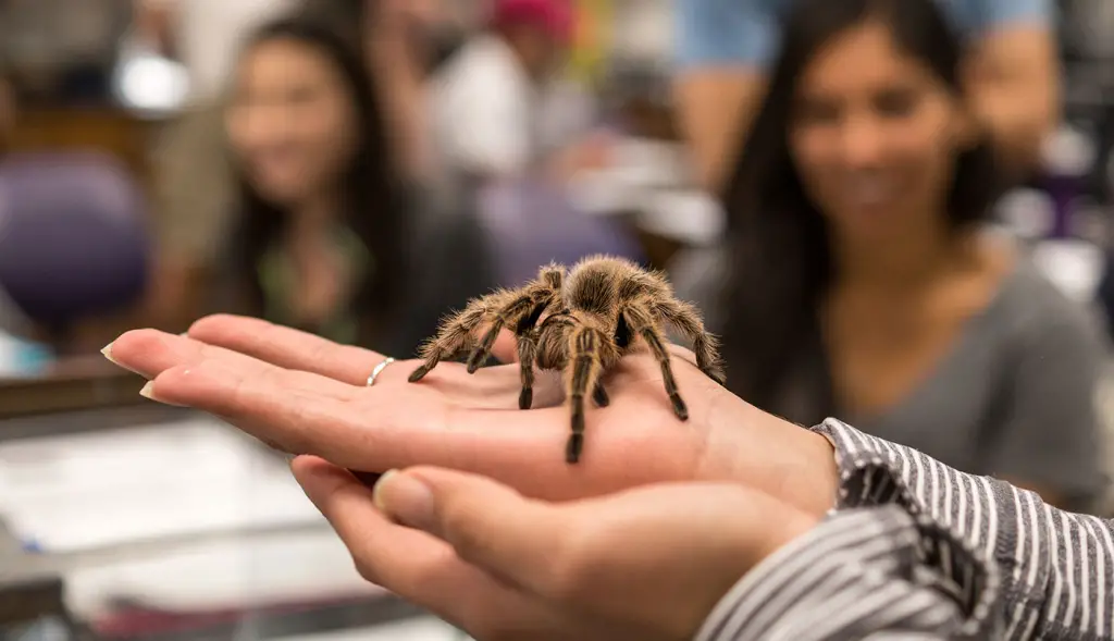 Best Zoology Schools : Credits: UCSB