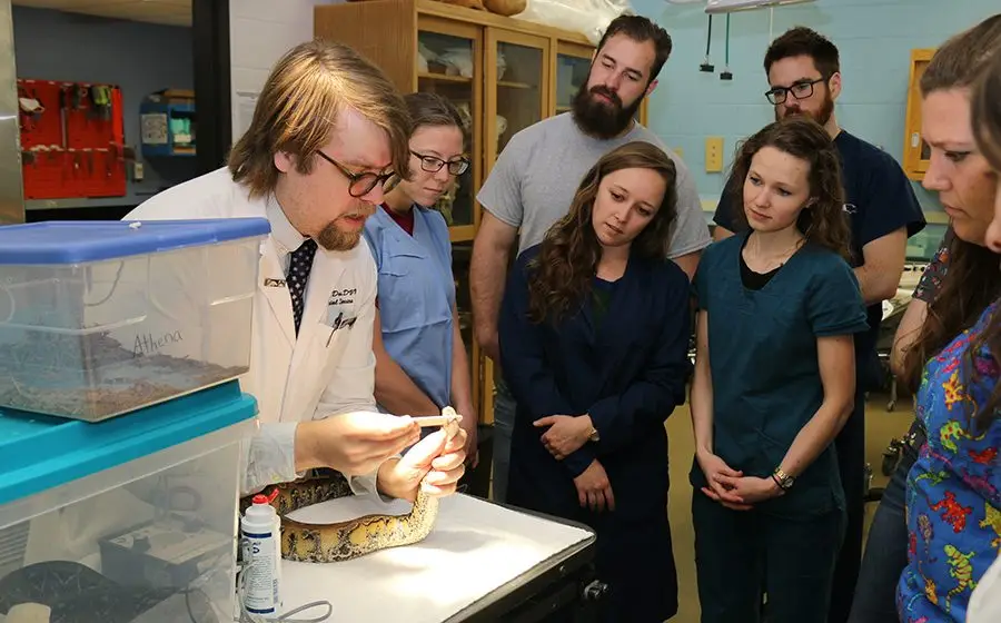 Best Veterinary Schools : Credits: UW-Madison School of Veterinary Medicine