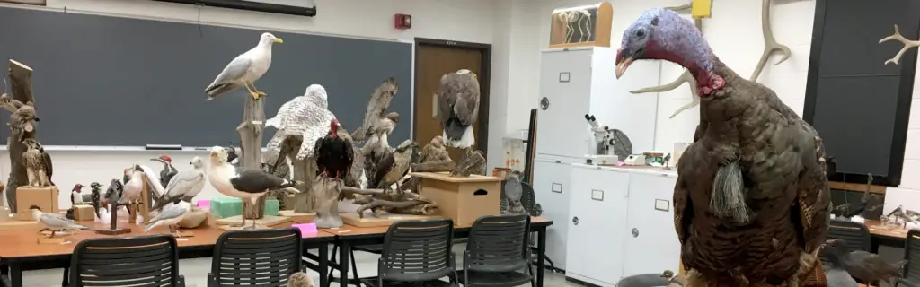 Best Zoology Schools : Credits: UW-Madison