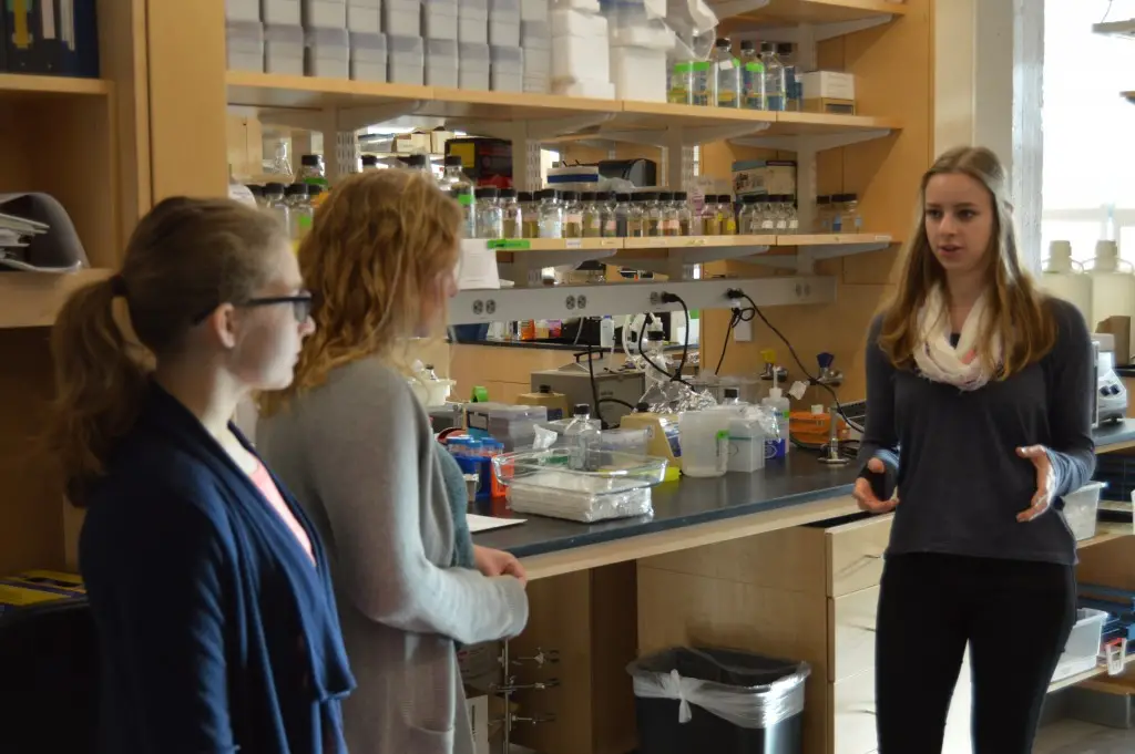 Best Biochemistry Schools : The Tufts Daily