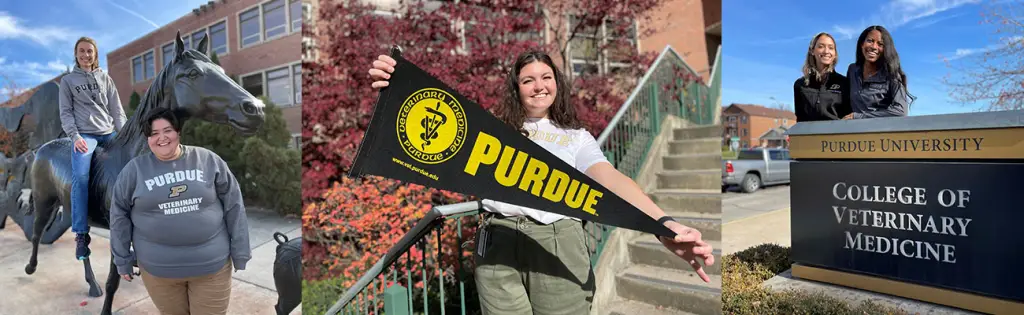 Best Veterinary Schools : Credits: Purdue University