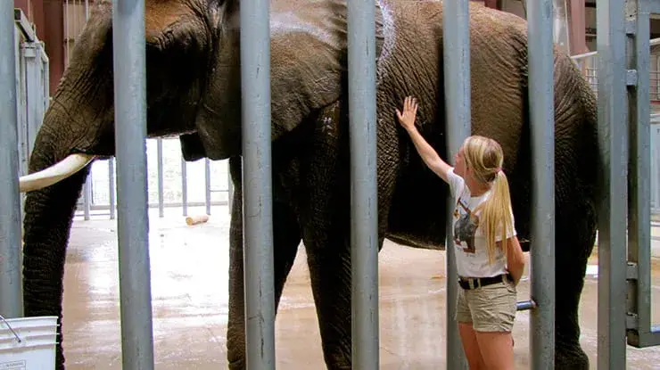 Best Zoology Schools : Credits: Michigan State University