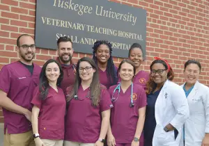 25 Best Veterinary Schools In The US 2025 Image48 7 300x210